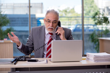 Aged businessman employee working in the office