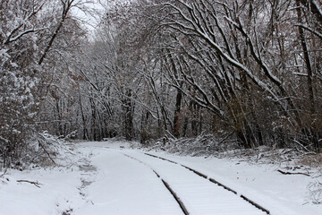 Train Tracks in the Snow