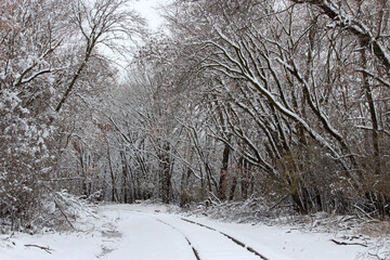 Train Tracks in the Snow