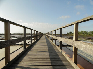 Fototapeta premium Wooden bridge over water and salt flats in beautiful summer day, in aveiro, portugal