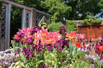 Fototapeta na wymiar Colourful spring in the garden 
