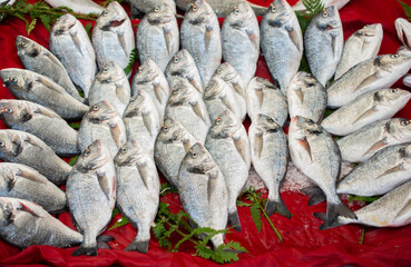 Fresh fish for sale at  fish market