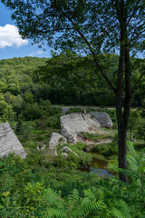 Austin Dam Failure Remains