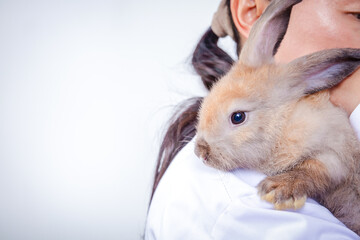 The vet carried the little brown rabbit for a checkup every month. Concept of pets, prevention of germs to humans. Copy space
