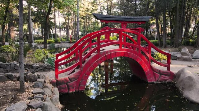 Mexico City Masayoshi japanese garden in the park