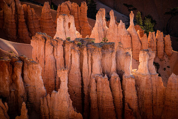 Bryce National Canyon
