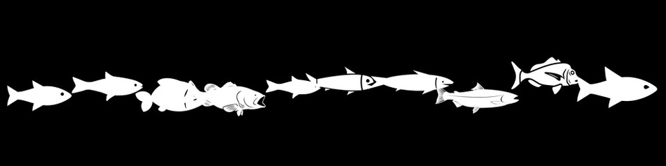 Black and white fishes.
