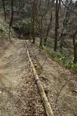 山道