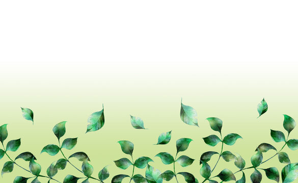 4 610 Best 緑背景 Images Stock Photos Vectors Adobe Stock 4 610 Best 緑背景 Images Stock Photos Vectors Adobe Stock