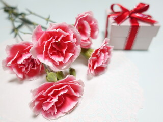 赤いカーネーションの花とリボンをかけたプレゼント　母の日のイメージ