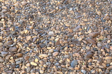 Pebble stone walkway in the garden