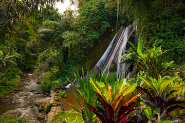 Waterfall landscape in tropical forest. Foreground with Croton plant. Codiaeum variegatum with colorful foliage. Nature background. Motion photography. Antapan waterfall Bali © Olga