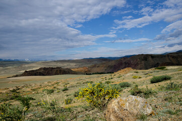 Fototapeta na wymiar alpine semi-desert landscape