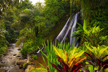 Waterfall landscape in tropical forest. Foreground with Croton plant. Codiaeum variegatum with colorful foliage. Nature background. Motion photography. Antapan waterfall Bali © Olga