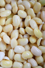 Soy Beans close up