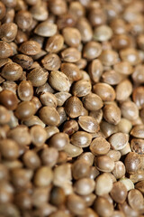 Cannabis seeds close up modern background high quality prints