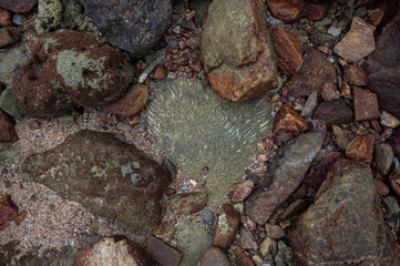 natural stone and pebble beach background