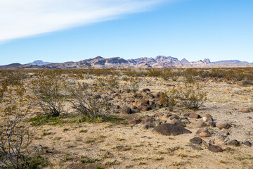 カリフォルニア荒野