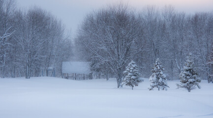 Fototapeta na wymiar Winter landscape during a heavy snowfall
