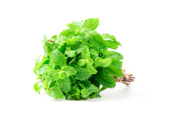 Close up of Mint leaves  isolated on white background, Herbs and Spices