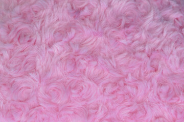 Fototapeta premium Pink luxury wool natural fluffy fur wool skin texture close-up