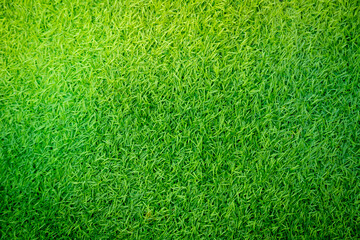 Obraz premium Green artificial grass