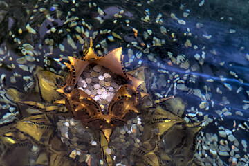 Wishing well at White Temple Wat Rong Khun Chiang Rai Thailand