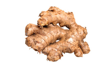 ginger root isolated on white