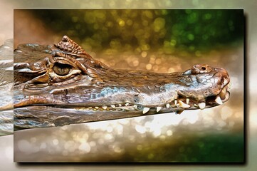 Crocodile caiman alligator. Imitation of a picture. Oil paint. Rendring