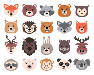 Fototapeta premium Beautiful set of child style woodland and exotic animals vector collection