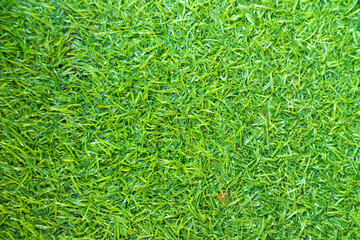 Green artificial grass natural