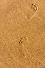 Fototapeta na wymiar View from top of footprints in wet sand with use of selective focus.
