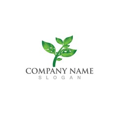 Logos of green Tree leaf ecology