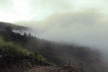 fog in the mountains