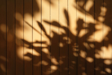 Leaves Shadow on Yellow Wood Wall Background.