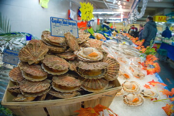 Coquilles du Marché aux poissons, Paris, pendant Covid-19