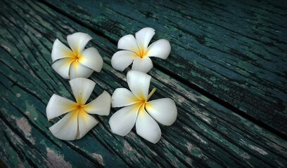 Fototapeta na wymiar Beautiful flowers falling on the old wooden floor. 