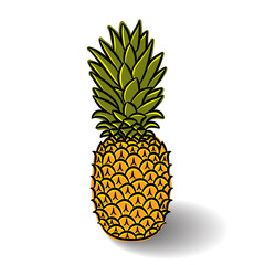 Kids doodle drawing of Pineapple isolated on white background. Hand drawn style sketch. Vector illustration