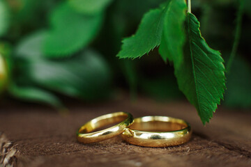 Rings at the newlyweds table on the background of green leaves