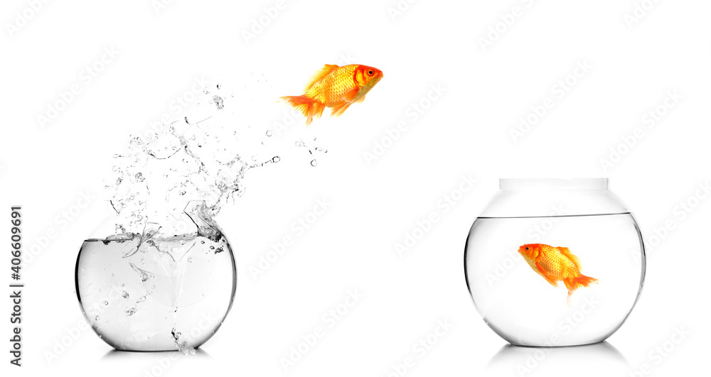 Wall mural A goldfish jumping out of the broken fishbowl on white background. - Wall murals