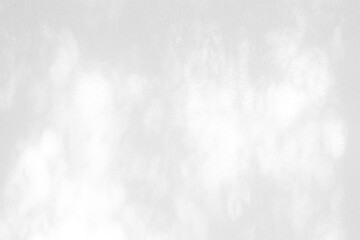 Leaves Shadow on White Stucco Concrete Wall Texture Background, Suitable for Overlay, Product Presentation, Backdrop and Mockup.