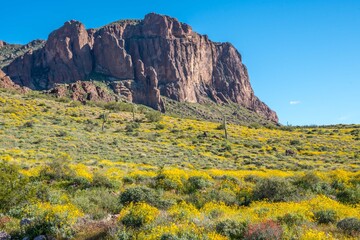 Obraz premium An overlooking view of nature in Lost Dutchman SP, Arizona