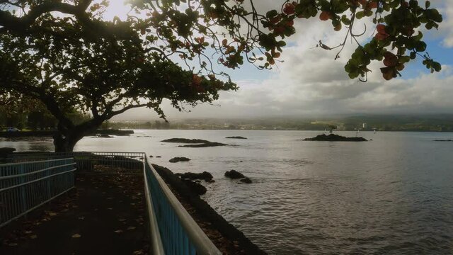 Koa Trees and Hilo Bay Hawaii. Golden afternoon, partially cloudy skies. Captured in 4K.