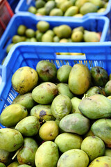 Fresh mangoes at fruit market.
