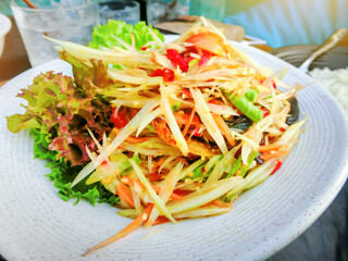 Close up of Thai papaya salad in white plate with vegetable on table