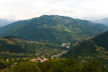 Top view of the gorge and mountains covered with forest.