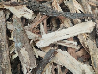 die wood texture background. topview.texture background