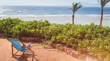 Blue wooden beach chair. Sandy beach coast, palm trees and blue sea. Travel destination for exotic vacation concept. Sharm el Sheikh Egypt morning light with copy space, sea ocean view