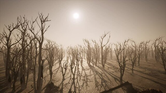 global warming and drought. thirst. post apocalyptic world.