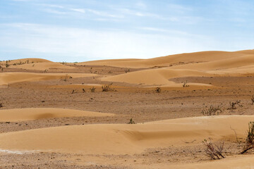 Bend of the ridge of a sand dune in the desert